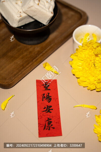重陽節(jié)節(jié)日