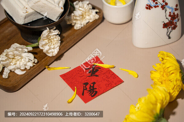 重陽(yáng)節(jié)節(jié)日