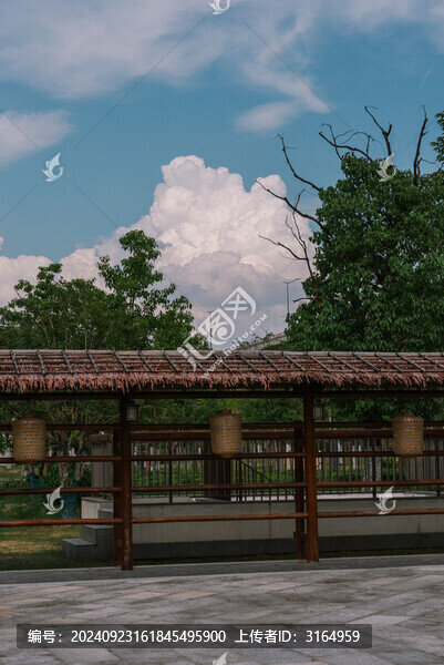 上海蟠龍?zhí)斓毓沛?zhèn)