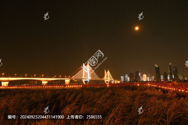武漢長江二橋夜景