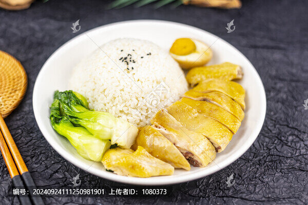 廣式燒鴨飯