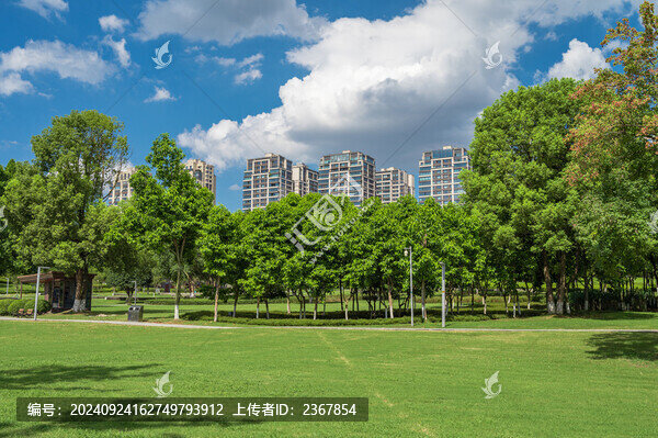 公園綠色大草坪與周圍的住宅建筑