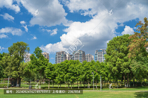 公園綠色大草坪與周圍的住宅建筑