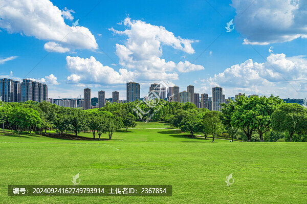 公園綠色大草坪與周圍的住宅建筑