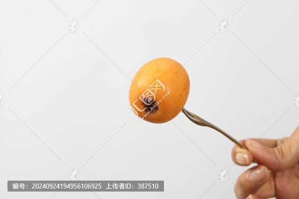 新鮮枇杷