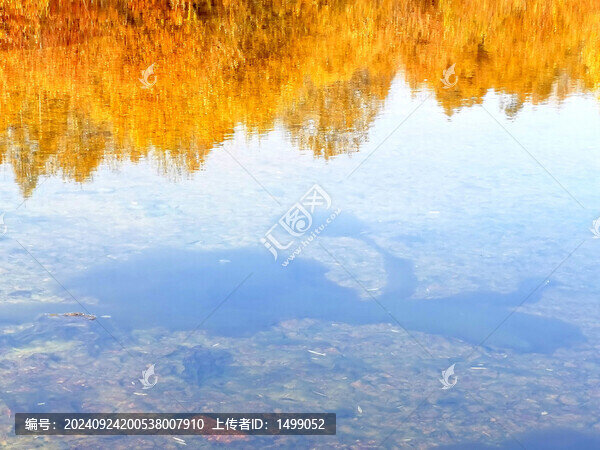 大山里的秋色