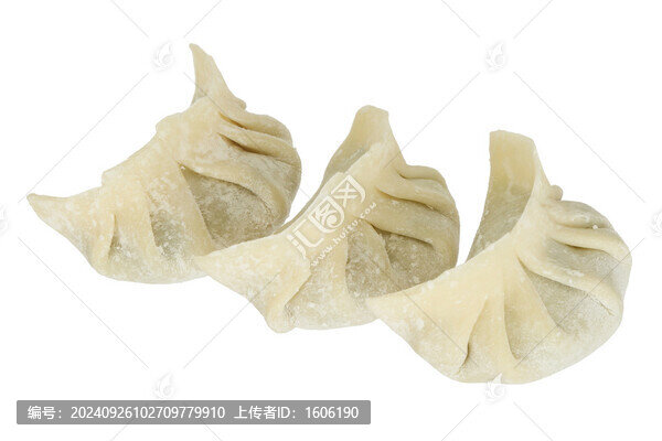 鮮肉餃子