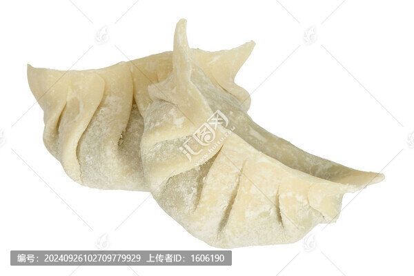 鮮肉餃子