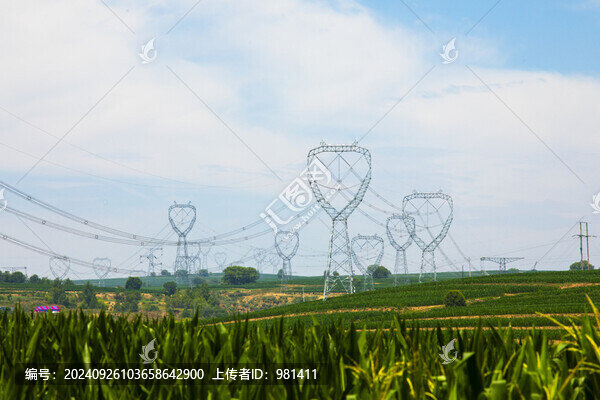 田野里一大片輸電塔