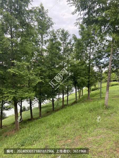 寧靜的戶外