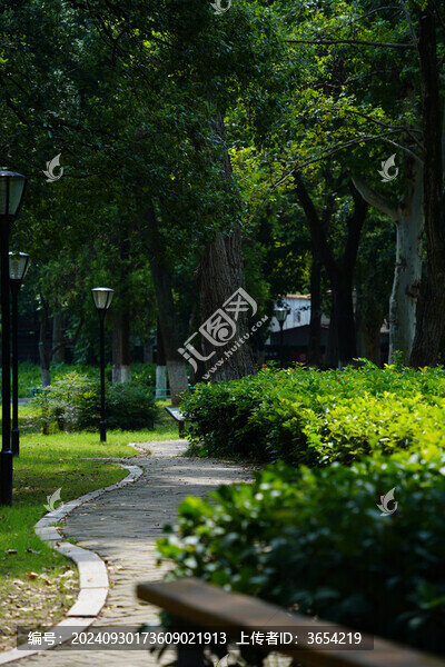 公園園林景觀