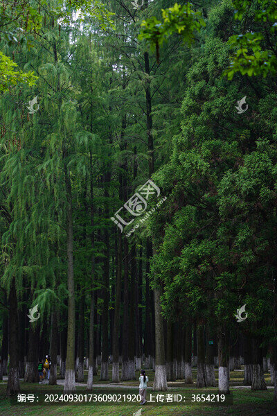 園林景觀