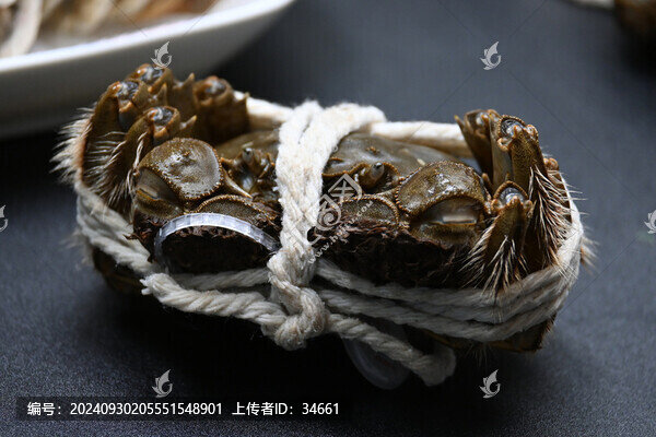 陽澄湖大閘蟹鮮活螃蟹河蟹母蟹