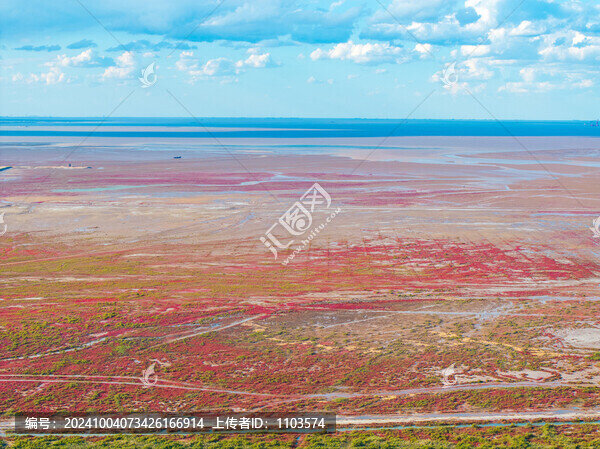 航拍東營黃河口生態(tài)旅游區(qū)紅地毯