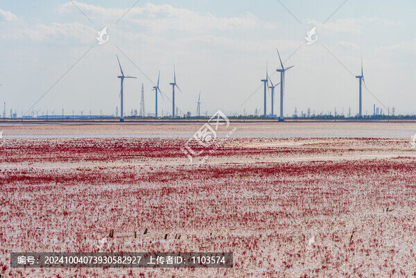 航拍東營(yíng)墾利紅灘濕地旅游度假區(qū)