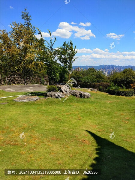 山不在高有龍則名