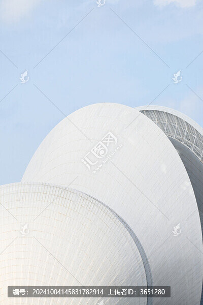 日月貝