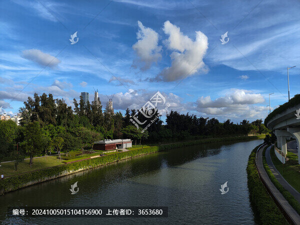 在天橋上遠(yuǎn)眺深圳大沙河綠道