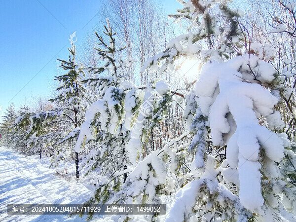 山林秋雪