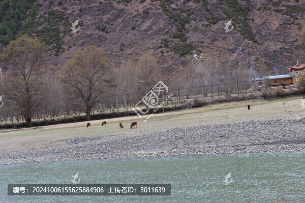 河流