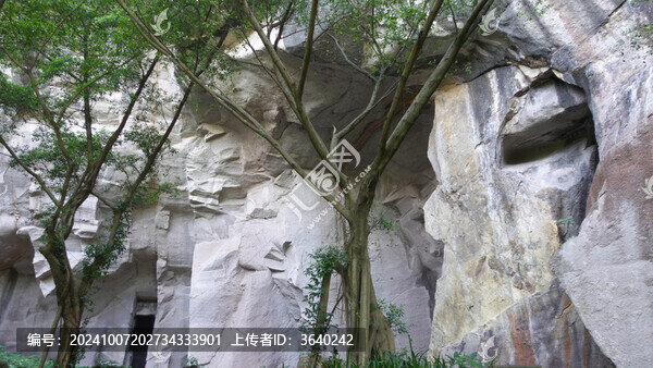 地質(zhì)