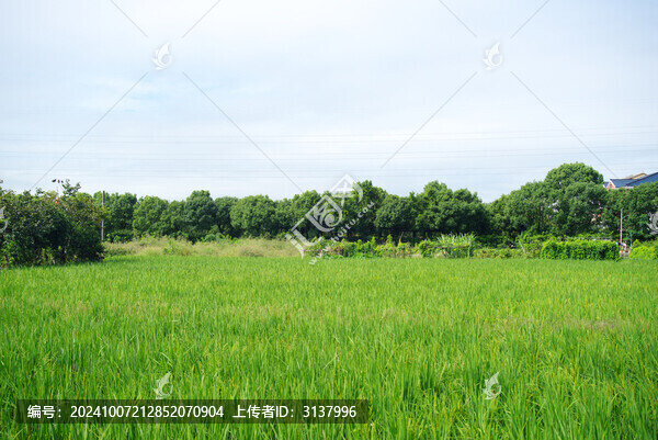 鄉(xiāng)村田園風(fēng)光