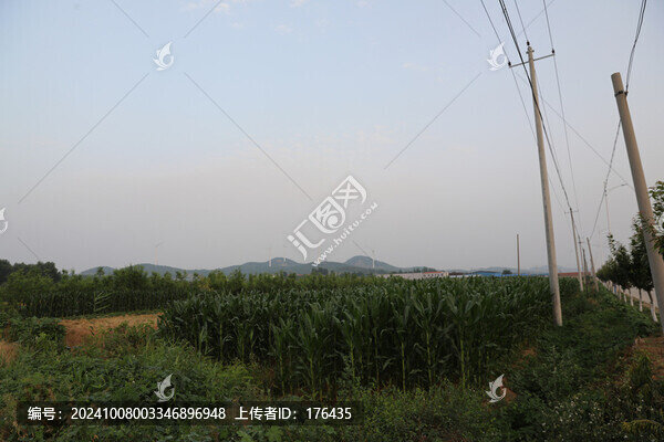 田園田野