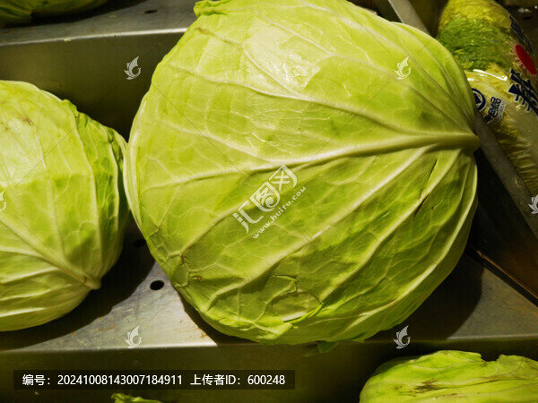 大白菜