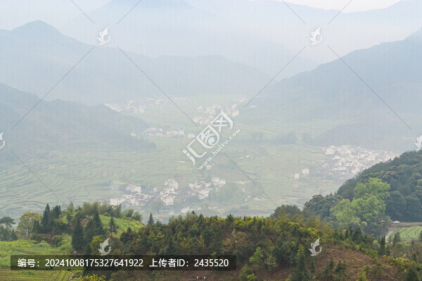 婺源梯田油菜花