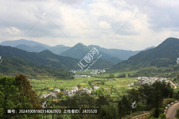 婺源梯田油菜花
