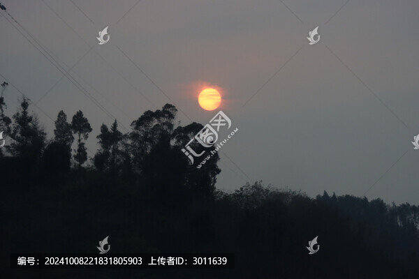 金色太陽