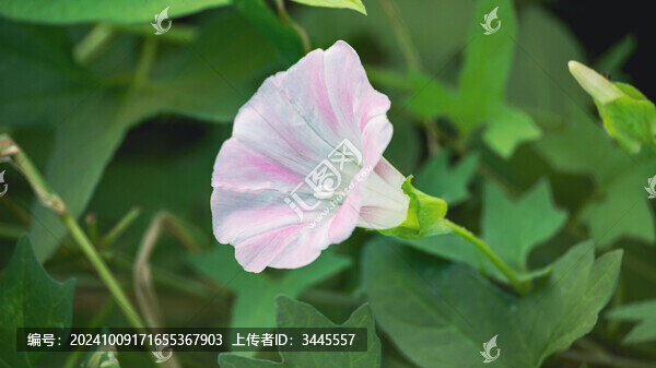 牽?；ㄌ貙? title=