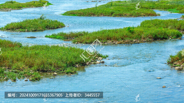沼澤濕地