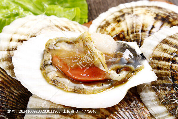 扇貝
