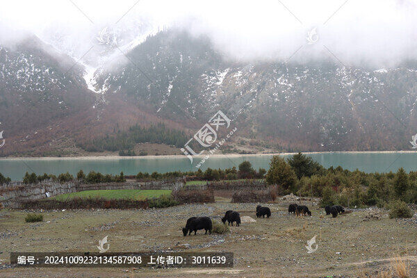 然烏湖