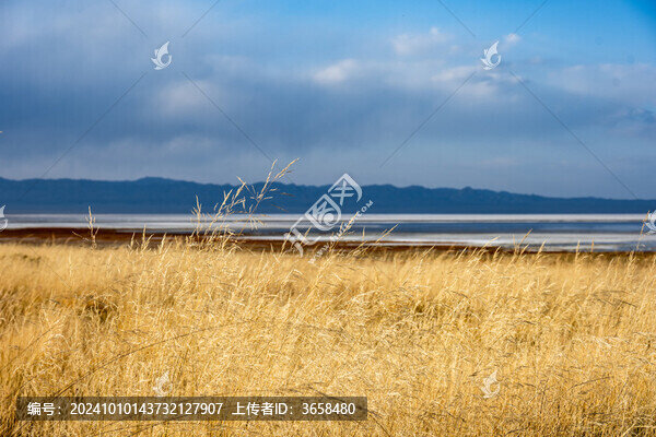 新疆巴里坤湖