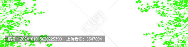 定位花