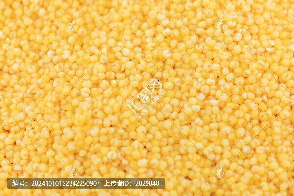 黃小米