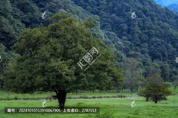 騰沖明光大竹壩
