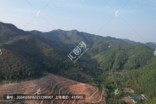山林