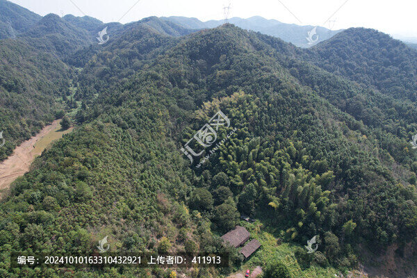 森林大山