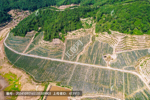 鄉(xiāng)村振興