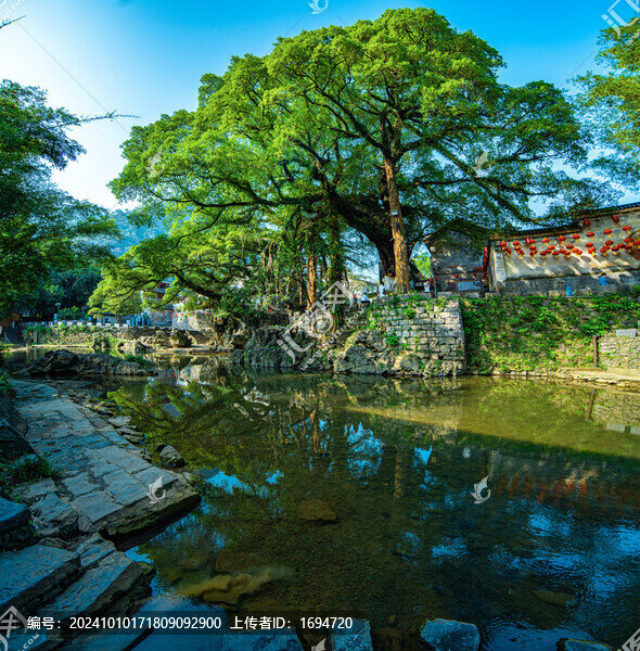 黃姚水岸