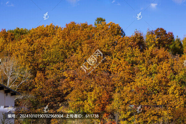 五花山