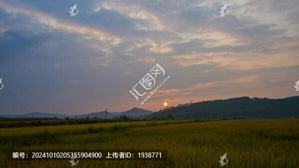 韶關(guān)湞江區(qū)茶山稻田晨曦