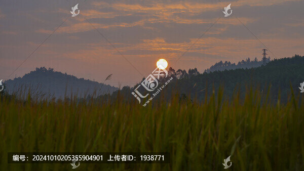 韶關(guān)湞江區(qū)茶山稻田晨曦