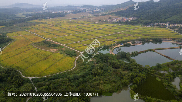 航拍韶關湞江區(qū)美麗的鄉(xiāng)村田園