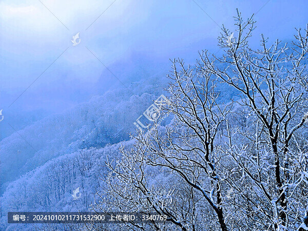 洛陽老君山