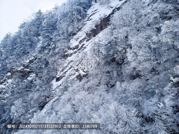洛陽老君山