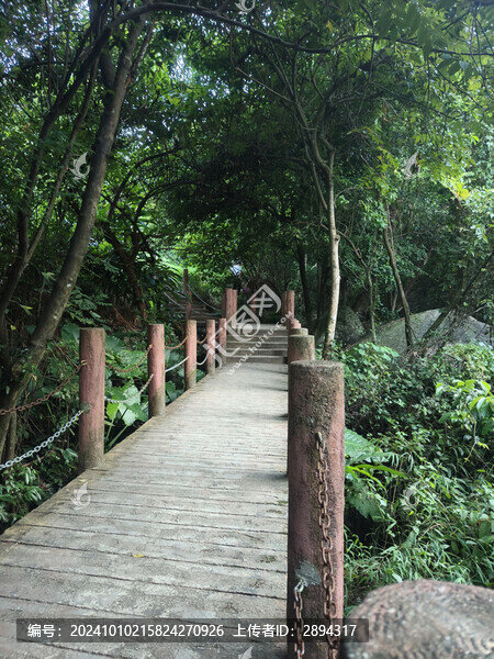 深圳陽臺山